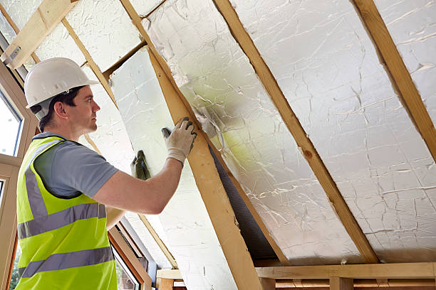 Best Cellulose Insulation in Alto, TX